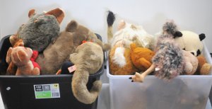 Lot 081 - 2 x Boxes Soft Toy Animals inc Koalas, Ostrich, Kangaroos , Panda, Rin