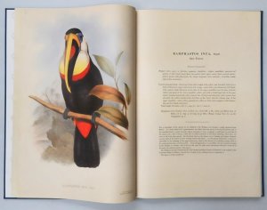 HC John Gould Large Facsimile Edition 'ToucansBirds Book - Full page colour plat
