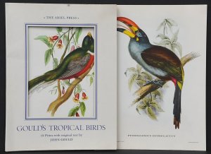Lot 117 - 1960s Folio of Goulds Tropical Birds including 18 Colour Litho Prints